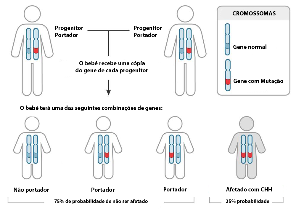 hereditariedade