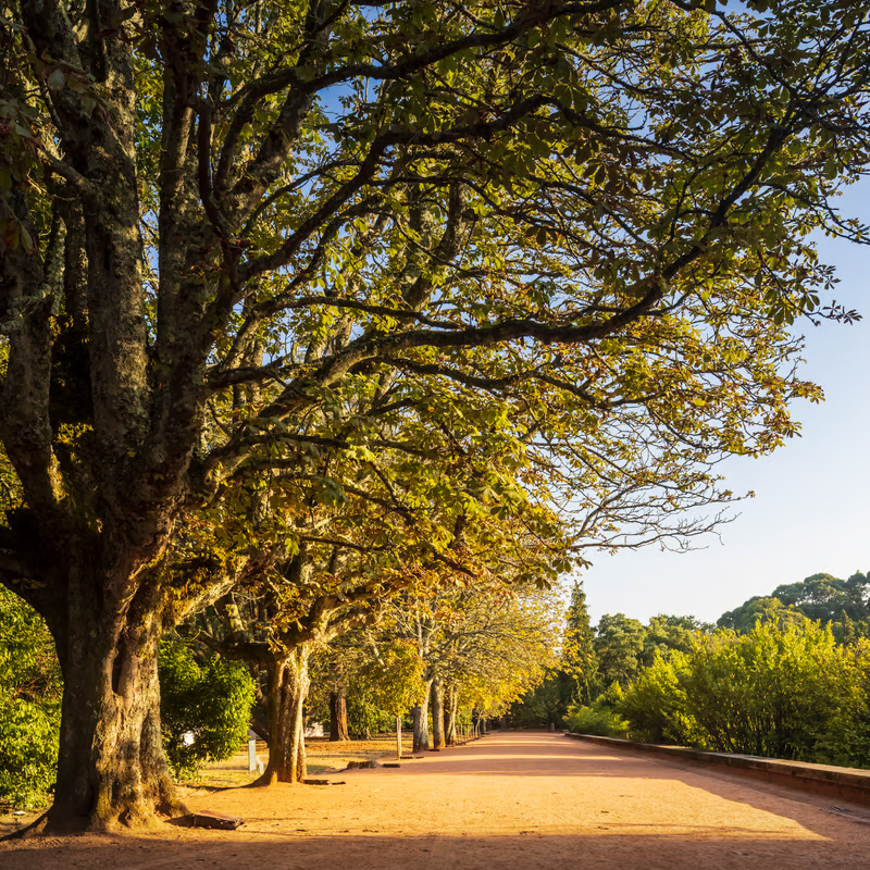 Parque de Serralves